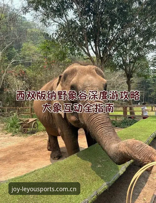 乐游体育平台 乐游体育平台使用指南:从下载到深度体验的完整攻略
